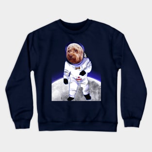 Doggy in Space - cute Cavoodle, Cavapoo, Cavalier King Charles Spaniel Crewneck Sweatshirt